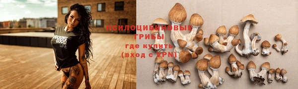 соль курить ск Карталы