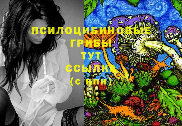 дурь Карпинск