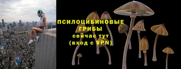 гашик Каменск-Шахтинский