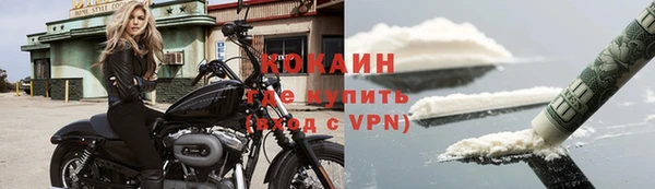СК Каменногорск