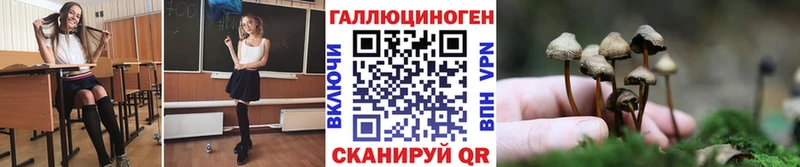 Псилоцибиновые грибы ЛСД  Купить  Камышлов 
